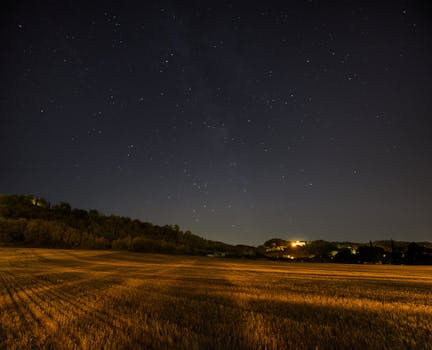 Caruru Baiano Tradicional